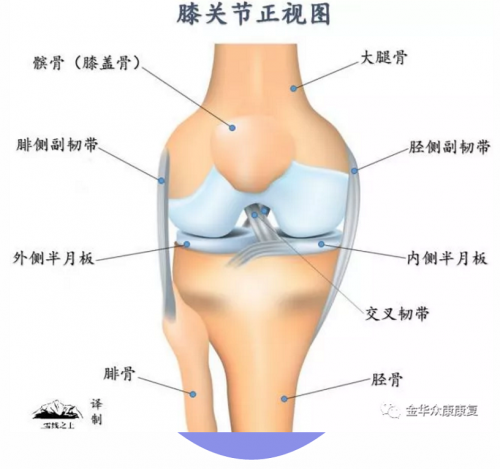 爬山、練太極會(huì)導(dǎo)致膝關(guān)節(jié)疼痛嗎？